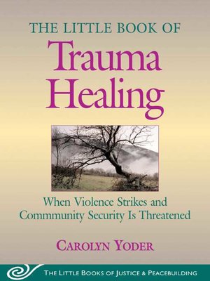 cover image of Little Book of Trauma Healing